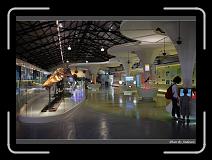 IMG_4471 * 850 x 608 * (247KB)