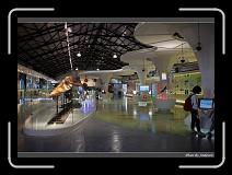 IMG_4472 * 850 x 608 * (229KB)