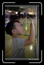 IMG_4500 * 566 x 910 * (196KB)