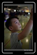 IMG_4501 * 566 x 910 * (190KB)