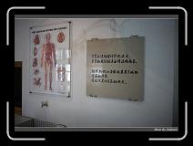 IMG_4517 * 850 x 608 * (228KB)