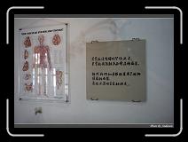 IMG_4518 * 850 x 608 * (230KB)