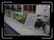 IMG_4519 * 850 x 608 * (213KB)