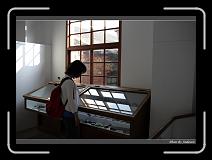 IMG_4562 * 850 x 608 * (206KB)