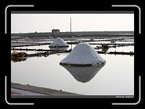 IMG_4597 * 850 x 608 * (236KB)