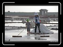 IMG_4600 * 850 x 608 * (249KB)