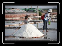 IMG_4615 * 850 x 608 * (242KB)