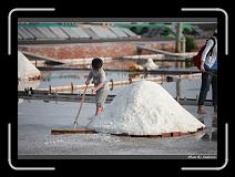IMG_4616 * 850 x 608 * (243KB)