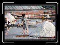 IMG_4618 * 850 x 608 * (240KB)