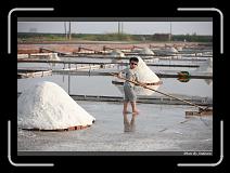 IMG_4622 * 850 x 608 * (221KB)