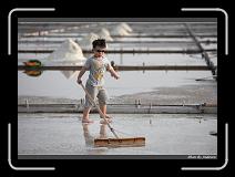 IMG_4627 * 850 x 608 * (249KB)