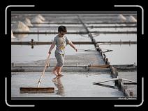 IMG_4628 * 850 x 608 * (227KB)