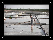 IMG_4629 * 850 x 608 * (242KB)