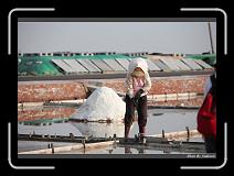 IMG_4631 * 850 x 608 * (244KB)