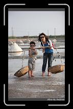 IMG_4642 * 566 x 910 * (229KB)