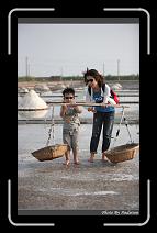 IMG_4643 * 566 x 910 * (229KB)