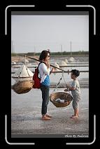 IMG_4649 * 566 x 910 * (229KB)