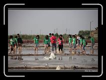 IMG_4659 * 850 x 608 * (217KB)