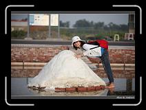 IMG_4677 * 850 x 608 * (248KB)