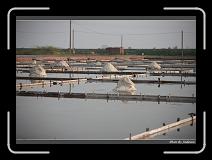 IMG_4711 * 850 x 608 * (232KB)