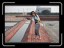 IMG_4718 * 850 x 608 * (228KB)