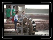 IMG_4736 * 850 x 608 * (219KB)
