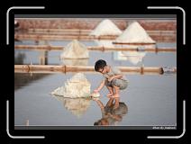IMG_4748 * 850 x 608 * (224KB)