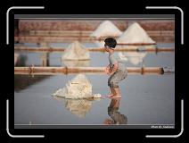 IMG_4749 * 850 x 608 * (218KB)