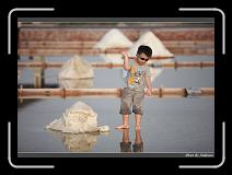 IMG_4752 * 850 x 608 * (227KB)