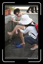 IMG_4766 * 566 x 910 * (234KB)