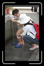 IMG_4767 * 566 x 910 * (250KB)