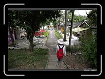 IMG_4862 * 850 x 608 * (247KB)