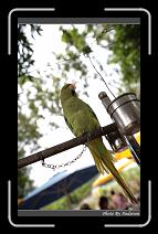 IMG_4896 * 566 x 910 * (236KB)