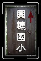IMG_4914 * 566 x 910 * (249KB)
