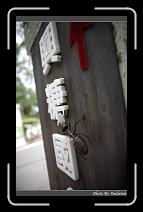IMG_4915 * 566 x 910 * (240KB)
