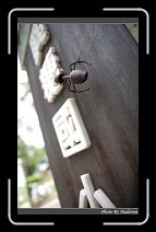 IMG_4917 * 566 x 910 * (219KB)