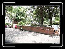 IMG_4948 * 850 x 608 * (244KB)