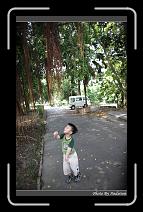 IMG_4952 * 566 x 910 * (246KB)