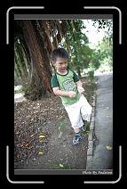 IMG_4956 * 566 x 910 * (246KB)