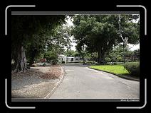 IMG_4957 * 850 x 608 * (242KB)