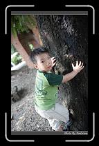 IMG_4960 * 566 x 910 * (240KB)
