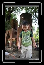 IMG_4970 * 566 x 910 * (235KB)