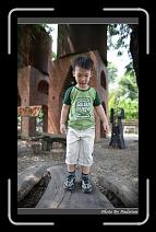 IMG_4971 * 566 x 910 * (248KB)