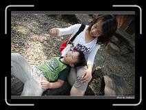 IMG_4985 * 850 x 608 * (243KB)