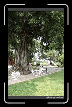 IMG_5117 * 566 x 910 * (247KB)