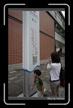 IMG_5133 * 566 x 910 * (237KB)