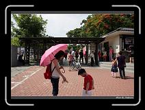 IMG_5490 * 850 x 608 * (246KB)
