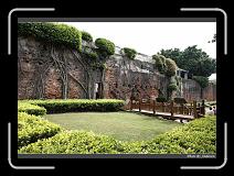 IMG_5529 * 850 x 608 * (249KB)