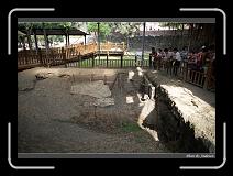 IMG_5533 * 850 x 608 * (245KB)