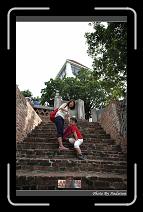 IMG_5547 * 566 x 910 * (247KB)